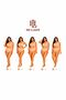 Queen Size Women's Panties 5 Pack Skin Color Cotton Soft Flexible - 2