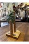 Wooden carved paper towel napkin holder design - 6