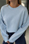 Premium Series Blue Washable Basic Sweatshirt - 2