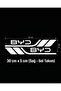 Byd Compatible Sports Body Stripe Sticker Right Left Side Door Fender Sticker 2 Pieces - 2