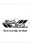 Byd Compatible Sports Body Stripe Sticker Right Left Side Door Fender Sticker 2 Pieces - 2