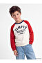 Timeless Clothing & Timeless Choices Zero Roba Collar Color Block Boys' Thick Sweatshirt