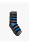 Striped 2-Piece Sock Set