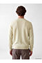 Lcw Visionregular Fit Men's Knitwear Sweater - 5