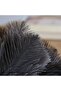 Ostrich Feather Household Dust Brush (Small) - 5