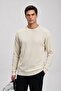 Men's Casual Winter Cream Crew Neck Basic Sweater
