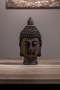 Budha Biblo Büst - 3