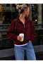 Burgundy Stand Collar Zippered Sweatshirt
