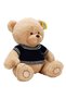 Sweatered Plush Bear |   0+ Years Old |   42 cm |   Sleeping Companion and Emotional Confidence - 2