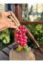 Red Grape Bunch Handmade Scented Soap Handmade Soap - 4