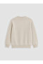 Two Mt Shop Quality Lcw Kids Khaki 3 Thread Plain Standard & Regular Boys' Sweatshirt - 4