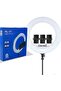 21 LED Soft Ring Light with 3 Mobile Phone Holder 3 Mode Light With Ring Light Tripod Stand