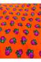 Divitin Flannel Fabric - Dress - Hobby Design - 100% Organic Cotton (90× 100cm) - 3