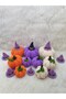 Pumpkin/Baby Gift - 3