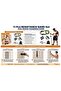 Complete 11-Piece Fitness Resistance Band Training Kit - 7