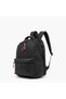 Spider-Man Print Backpack for Boys 8-12 Years with Padded Shoulder Straps - 17 inches - 6