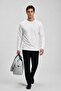 Men's Seasonal Regular Fit White Collar Basic Sweater - 3