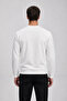 Men's Seasonal Regular Fit White Collar Basic Sweater - 6
