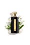 عطر ريف 19 / 100مل - 2