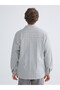 Grey Regular Fit Long Sleeve Striped Men's Shirt from Plus-Store - 4