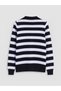 Alita City Lcw Modest Blue Knitwear Striped Polo Neck Women's Sweater - 6