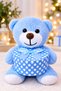 Blue Teddy Bear Plush Toy Heart Box and Gift Set – Special Romantic Gift for Your Loved One