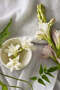 Tuberose &amp;   Cashmere Hand and Nail Care Gift Set - 2 X 250 ml - 2