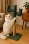 Green Cat Scratching Post Cactus Model, Stick Design, Tr Origin - 2