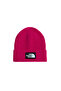 Tnf Logo Box Cuffed Beanie Beanie Nf0A8Chebos1 Red