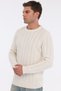 Kemik Men's 80% Wool 20% Acrylic Fine Hair Knitted Patterned Crew Neck Knitwear Sweater Trist-5373 - 2