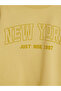 Two Mt Shop Quality Lcw Kids Yellow 3 Thread Printed Boys' Sweatshirt - 3