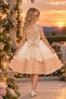 Girl's Beaded and Sequined Roba, Tulle Collar, Layered Ruffle Tulle Skirt, and Bow Detail Dress 3-7 Years Birthday, Special Occasion - 2