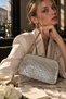 Silver Sparkling Gold Metal Chain Women's Evening Dress Clutch Portfolio Bag Wedding Event and Evening Bag