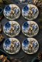 Set of 6 Glass Tea Plates – Capricorn and Mountain Themed – 6 Tea Plates