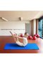 Tri-Fold Fitness Exercise Training Aerobic Fitness Gym & Gymnastics Balance Padded Mat (183x61x5 cm) - 4