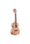 Exotic Concert Ukulele - 4