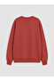 Lcw kids printed boy's sweatshirt - 3