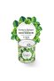 ®   Canning My Garden at Home Canning Thick Leaf Curly Growing Kit