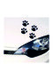 Cat Paw Print Auto Special New Sticker Black 8 Pieces 15*15 cm