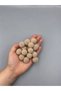 Cappucino Soft Pompom 2 cm - 1000 Pieces - 2