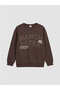 Lc Waikiki Crew Neck Manchester Printed Boys' Sweatshirt - 5