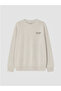 Lcw kids printed boy's thick sweatshirt - 4