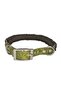Dog Collar Khaki 37/43 cm - 3