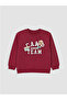 Burgundy Printed Baby Boy Sweatshirt - 8