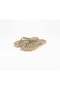 Women Animal Print III Slipper, Olive and Beige Combo