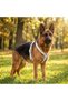 Genuine Leather White Dog Harness - Luxury Adjustable Pet Vest