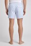 Men Stripe Board Shorts, Multicolor - 4