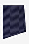 Twill Navy Blue Striped Shorts - 5