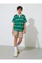 Teen Boys Green Striped Embroidered Short Sleeves Polo T-Shirt - 2