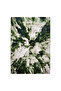 Supreme Silk 37 Modern Carpet - 2